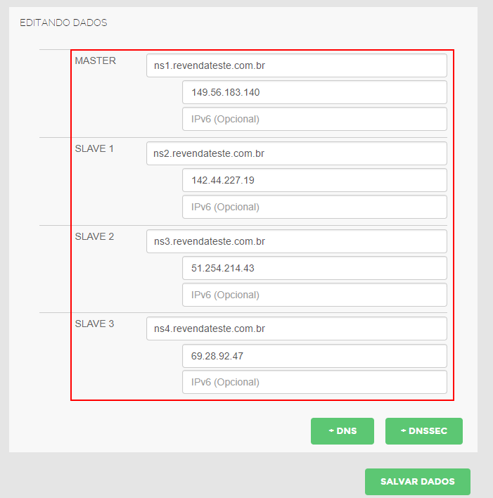 DNS pesonalizado registro br