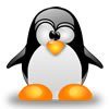 Cloud Server SSD - linux